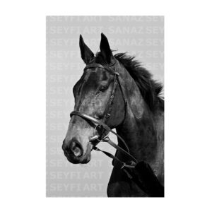 آموزش طراحی پرتره اسب