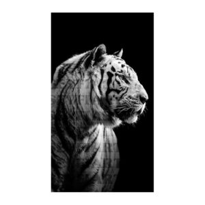 آموزش طراحی پرتره ببر