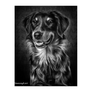 آموزش طراحی سگ